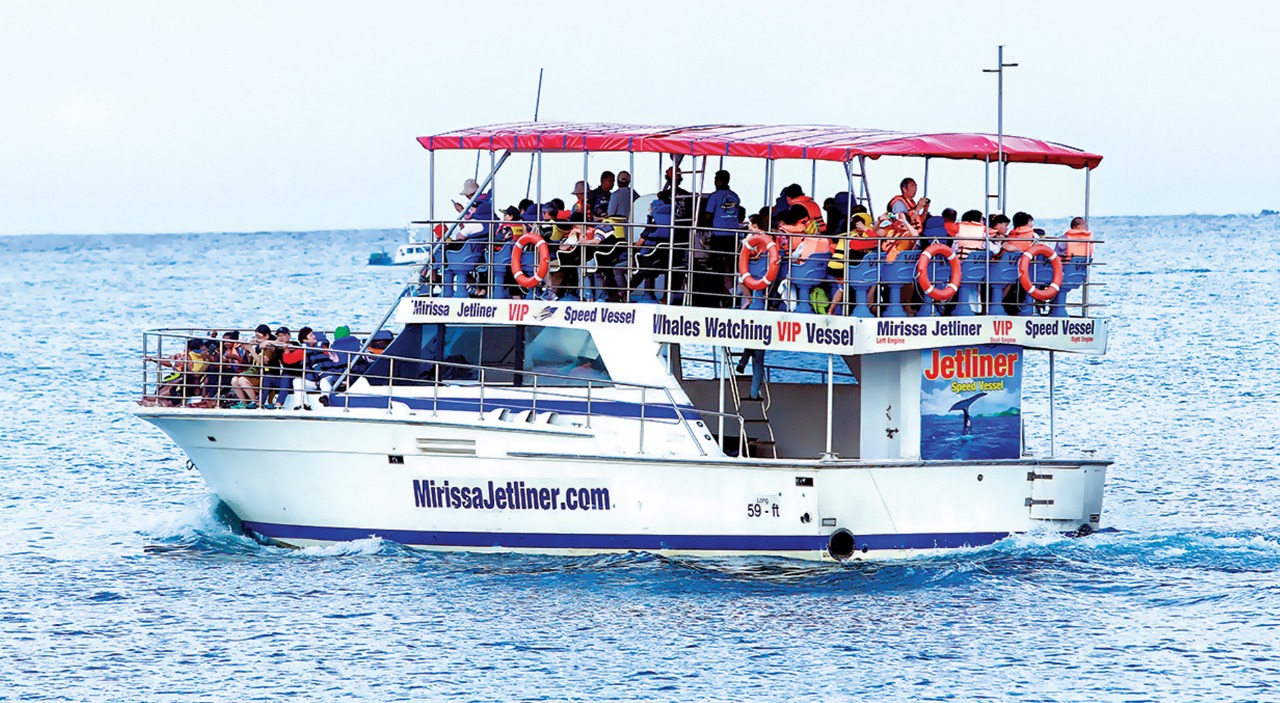 Mirissa Jetliner - tour photo 11