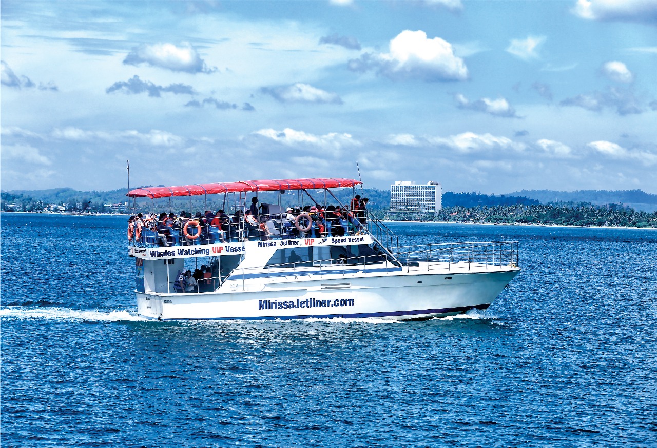 Mirissa Jetliner - tour photo 12