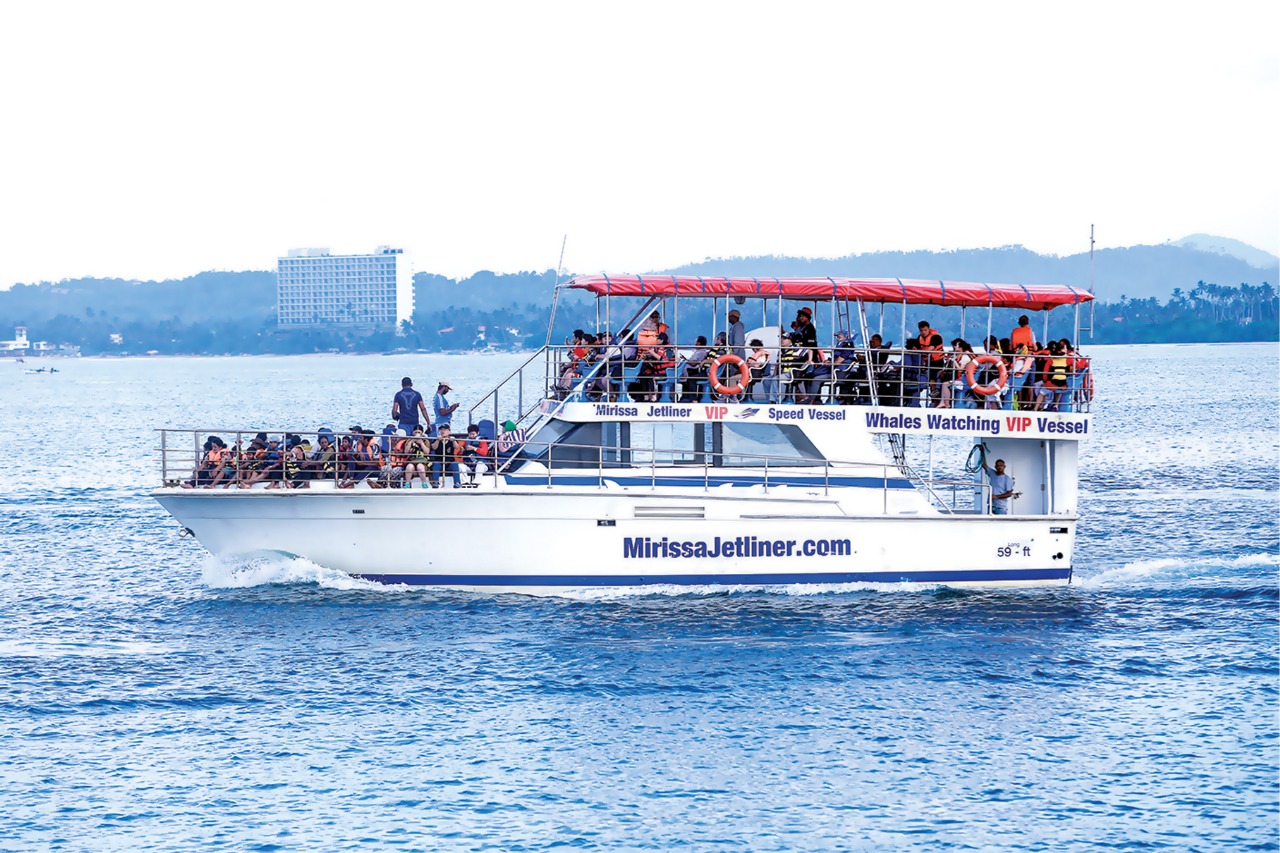 Mirissa Jetliner - tour photo 7
