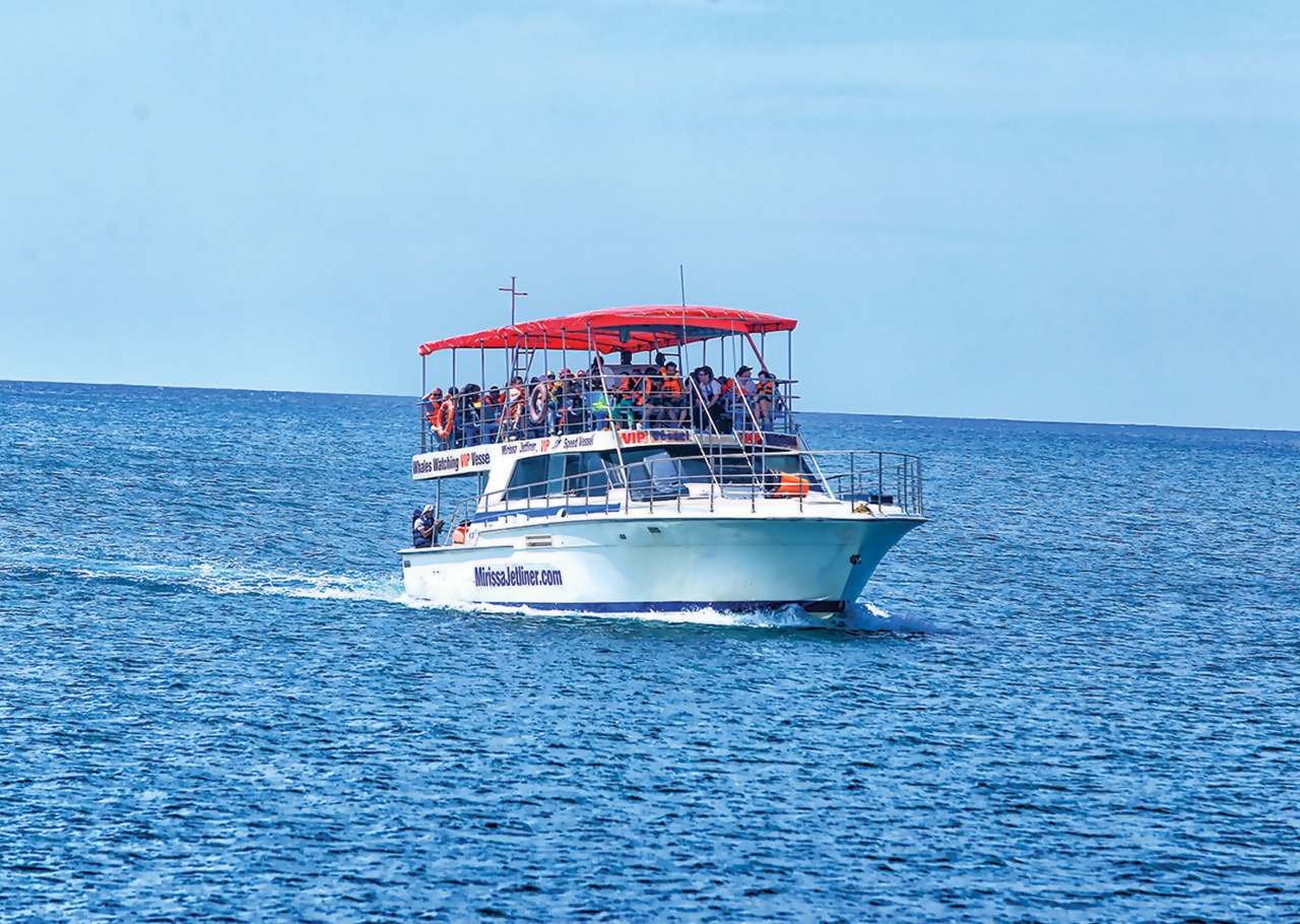 Mirissa Jetliner - tour photo 8