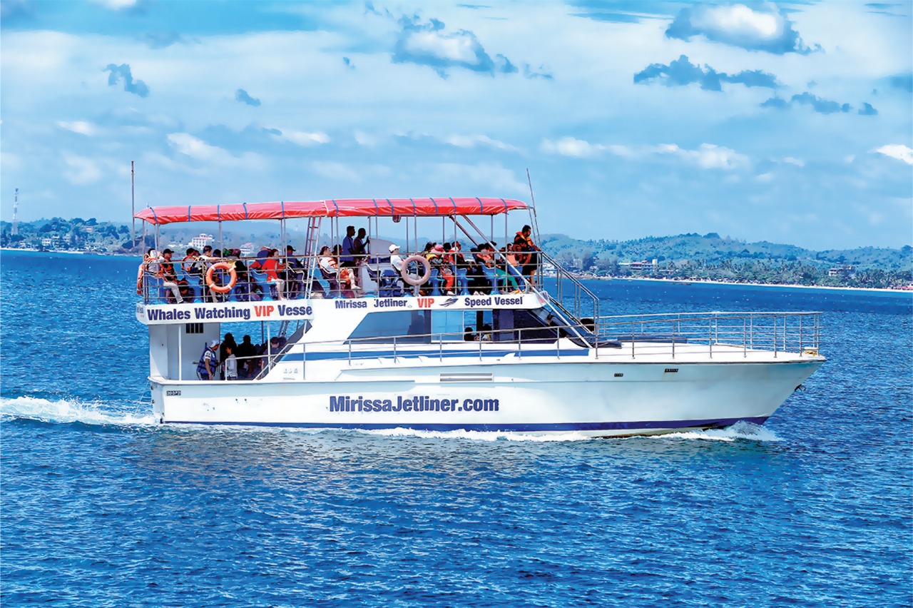 Mirissa Jetliner - tour photo 9